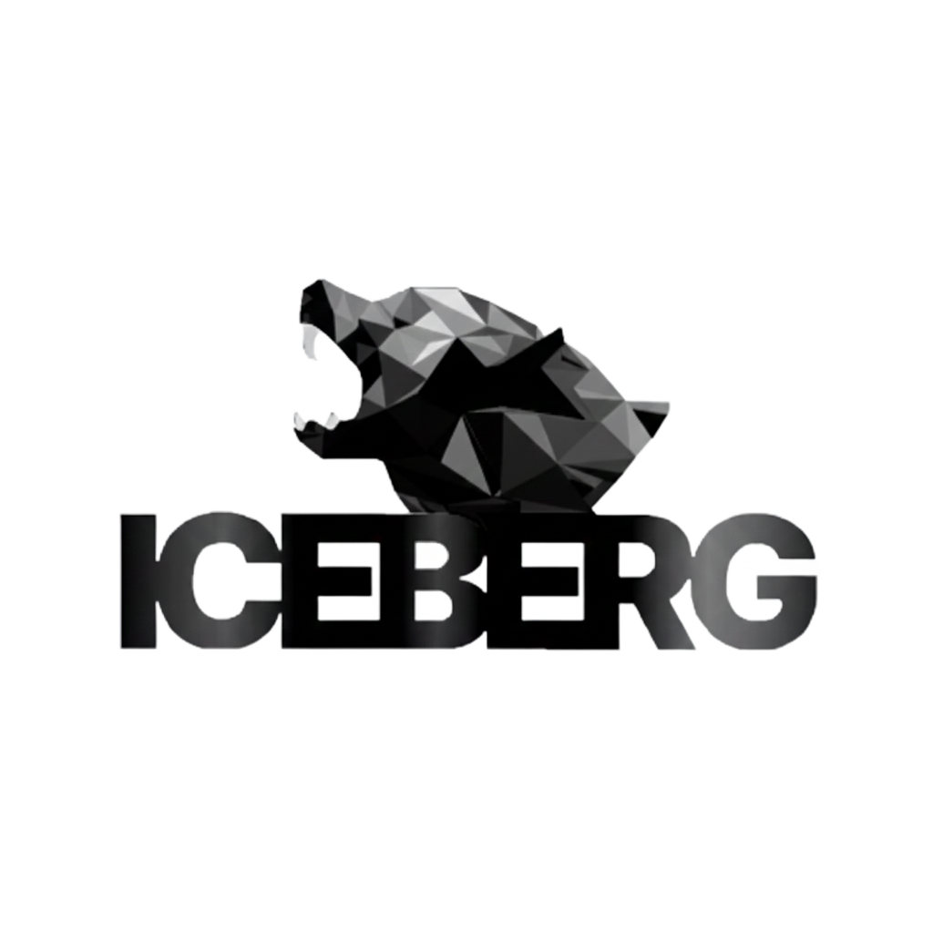 Iceberg